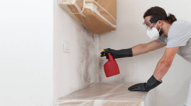 Professional Hvac And Air Duct Mold Remediation technician working in Keyport, NJ